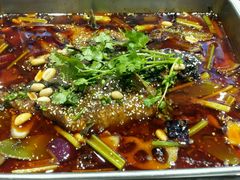 android_upload_pic-谭谈川菜(控江路店)