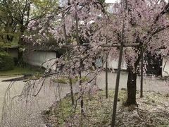 -醍醐寺