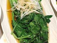 -1937青岛老味道·海肠捞饭·青岛菜(大鲍岛栈桥店)