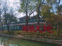 -星巴克(西湖天地店)