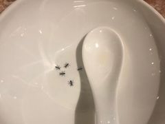 -唐宫小聚(新港中心店)