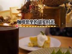 -猫里有甜