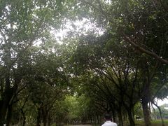 -北京师范大学(珠海校区)