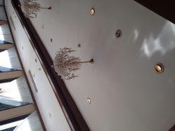 iphone_upload_pic-老洋房花园饭店·宴会厅