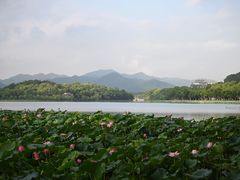 -北山街历史文化街区