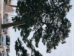 -妙峰山风景名胜区