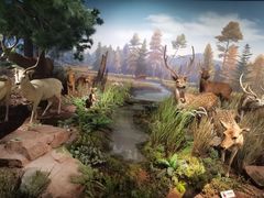 -陕西自然博物馆