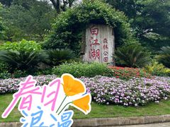 -广州白江湖森林公园