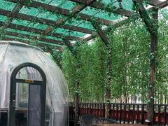 -遇见阿家村云南菜(魏公村店)