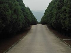 -秦始皇帝陵博物院-丽山园