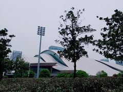 -合肥大剧院