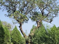 -锦屏山旅游度假区