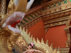 -西双版纳总佛寺