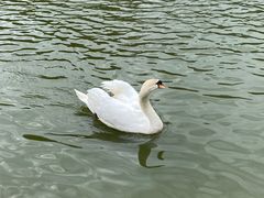-深圳野生动物园
