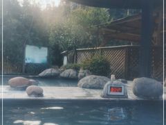 -雅安楠水阁温泉酒店