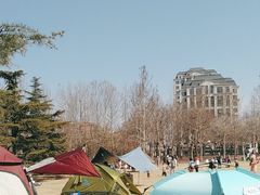 -泰丰公园