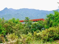 -紫云台香草园