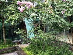 -北京希尔顿逸林酒店