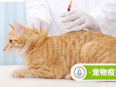-瑞鹏宠物医院·宠保定点·心脏科·内科(御桥分院)