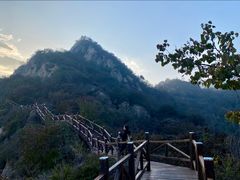 -大岭沟猕猴桃谷风景区