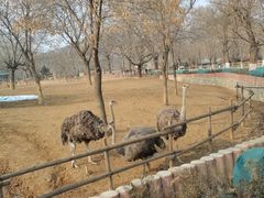 -石家庄市动物园