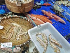 -高佳庄·舟山海鲜(海景旗舰店)