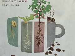 -Infica Coffee