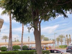 -亚特兰蒂斯水世界冒险乐园