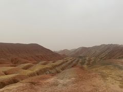 -清真·伊清阁餐厅
