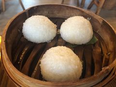 茨毛圆子-双塔老饭店