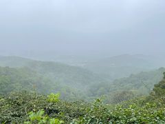 -广州市白云山风景名胜区