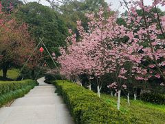 -南山植物园