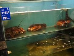 -长崎家日式料理(人民大街店)