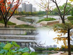 -新江湾城公园