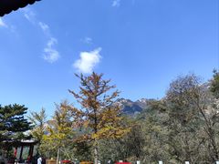 -泰山风景名胜区