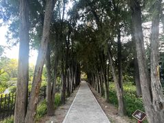 -晋祠公园