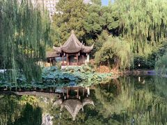 -墅园
