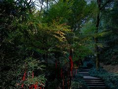 -梦姑塘文化公园