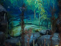 -上海海洋水族馆