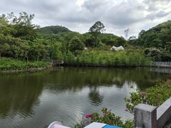 -广州市帽峰山景区