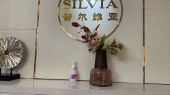 -茜尔维亚修身连锁(闵行莘庄店)