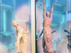 -上海市龙华烈士陵园