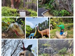 -森波拉奇妙世界