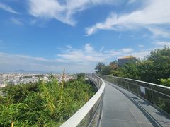 -仙岳公园