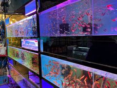 -双季花艺园艺市场(浦东店)