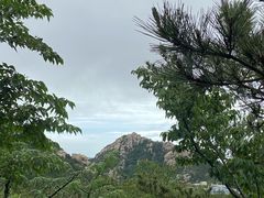 -崂山巨峰游览区