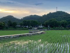 -红山村