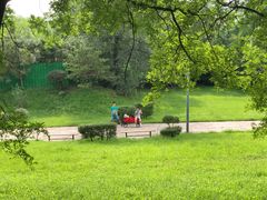-奥林匹克森林公园南门-停车场