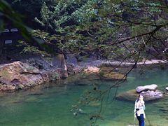 -鼎湖山风景区
