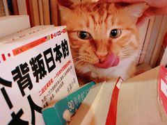 -小时光咖啡馆(开森度假森林店)